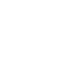Microsoft-Silver-Partner